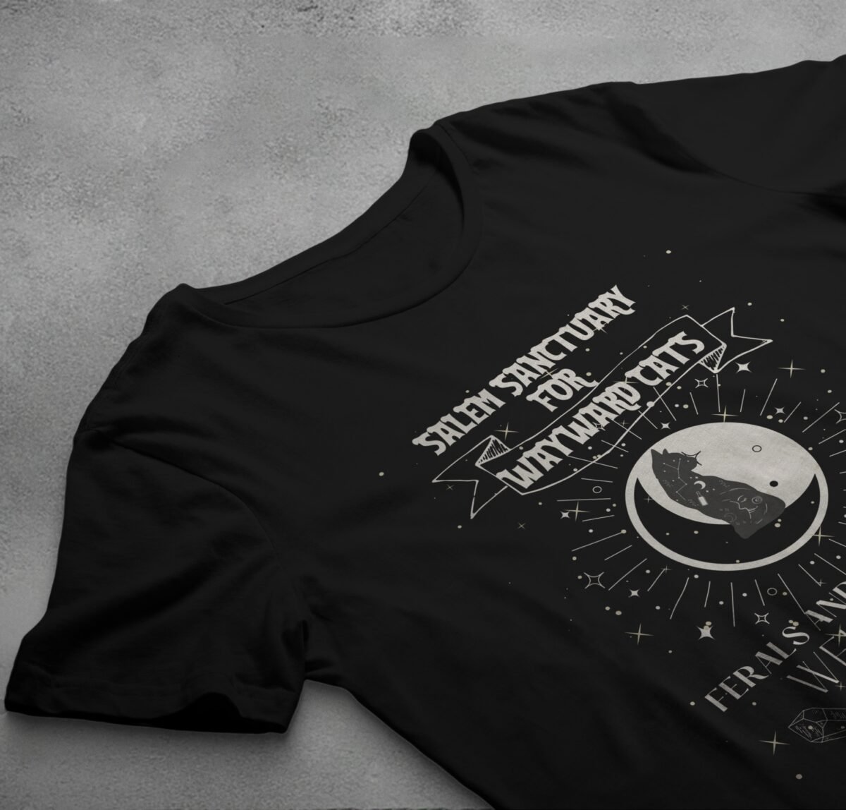 salem sanctuary wayward cats ferals familiars graphic design, variation 2