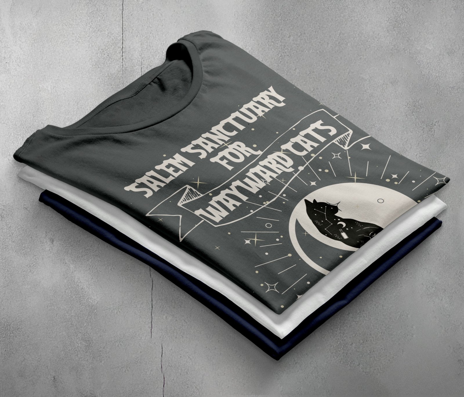 salem sanctuary wayward cats ferals familiars graphic design, variation 7